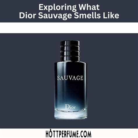 smelling like dior sauvage|does dior sauvage smell good.